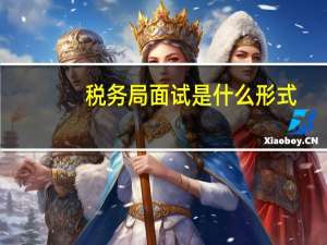 税务局面试是什么形式
