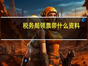 税务局领票带什么资料