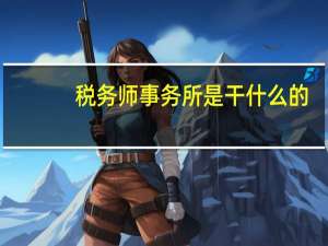 税务师事务所是干什么的