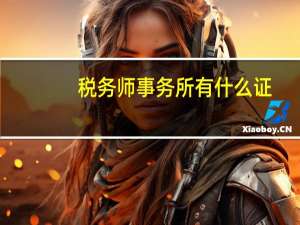 税务师事务所有什么证