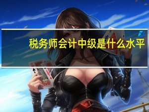 税务师会计中级是什么水平