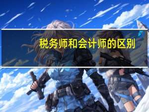 税务师和会计师的区别