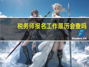 税务师报名工作履历会查吗