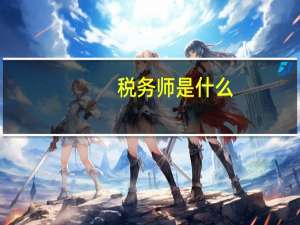 税务师是什么