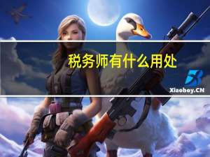 税务师有什么用处