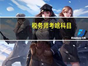 税务师考啥科目
