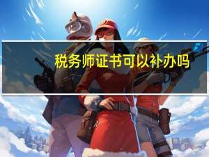 税务师证书可以补办吗