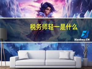 税务师轻一是什么