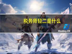 税务师轻二是什么