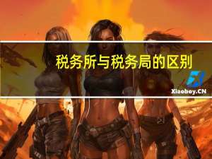 税务所与税务局的区别