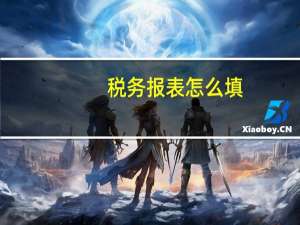 税务报表怎么填