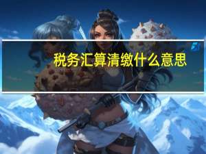 税务汇算清缴什么意思