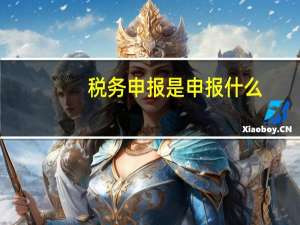 税务申报是申报什么