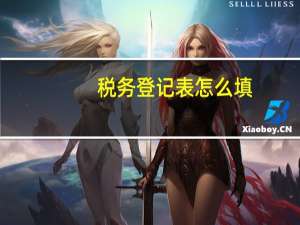 税务登记表怎么填