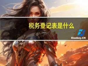 税务登记表是什么