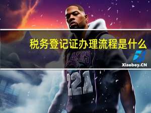 税务登记证办理流程是什么