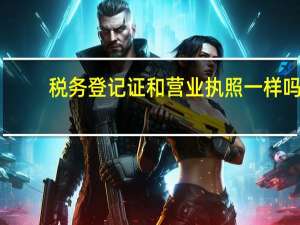 税务登记证和营业执照一样吗