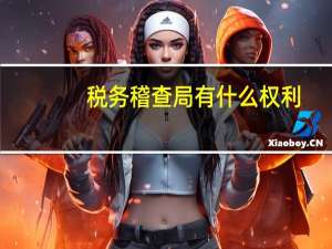 税务稽查局有什么权利