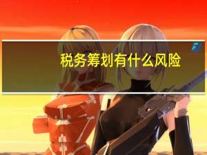 税务筹划有什么风险