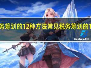 税务筹划的12种方法 常见税务筹划的12种方法