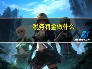 税务罚金做什么