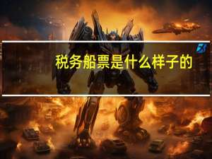 税务船票是什么样子的