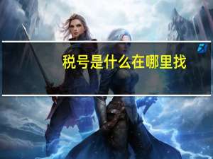 税号是什么在哪里找