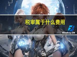 税审属于什么费用