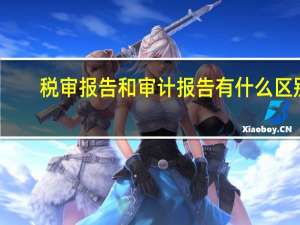 税审报告和审计报告有什么区别