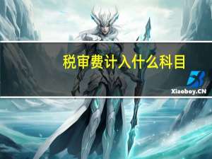 税审费计入什么科目（税审收费）