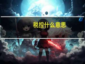 税控什么意思