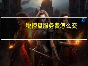 税控盘服务费怎么交