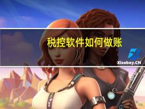 税控软件如何做账