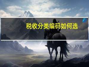 税收分类编码如何选