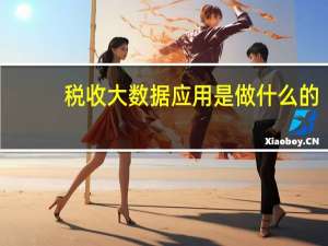 税收大数据应用是做什么的