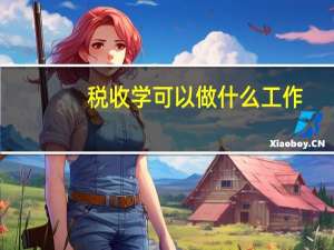 税收学可以做什么工作