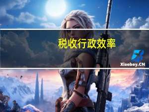 税收行政效率