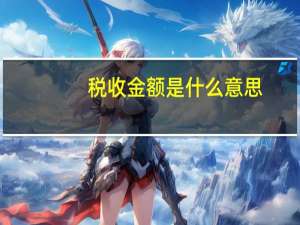 税收金额是什么意思