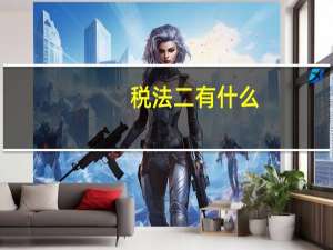 税法二有什么
