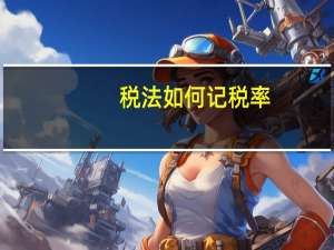 税法如何记税率
