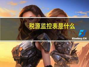 税源监控表是什么