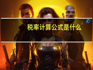 税率计算公式是什么_