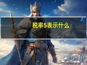 税率5%表示什么