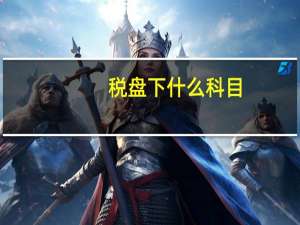 税盘下什么科目