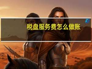 税盘服务费怎么做账