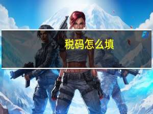税码怎么填