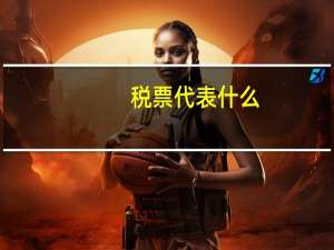 税票代表什么