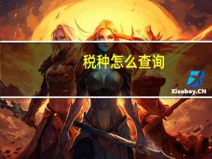 税种怎么查询
