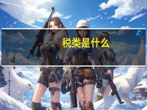 税类是什么