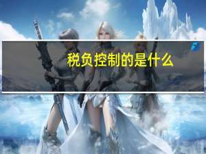 税负控制的是什么